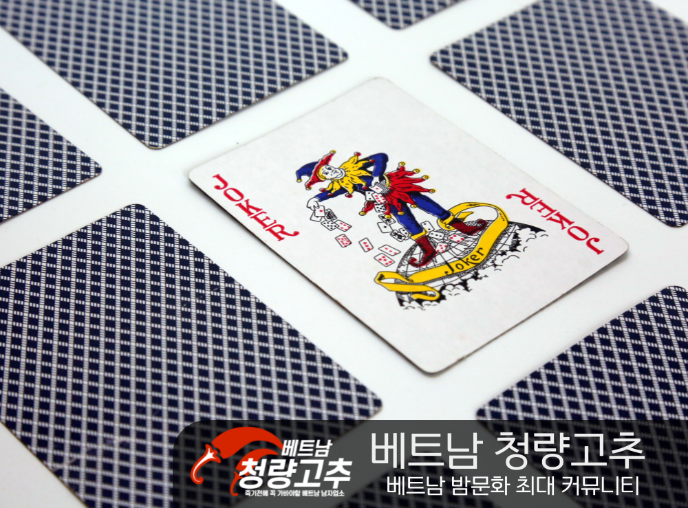 홀덤 규칙