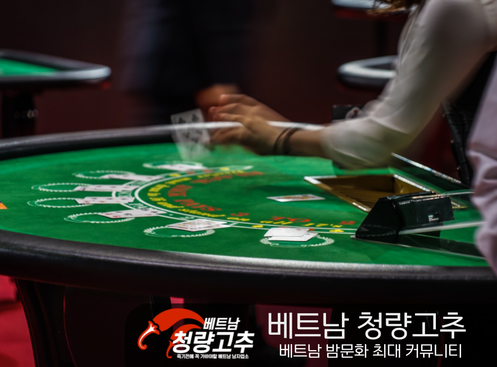 홀덤 즐기기