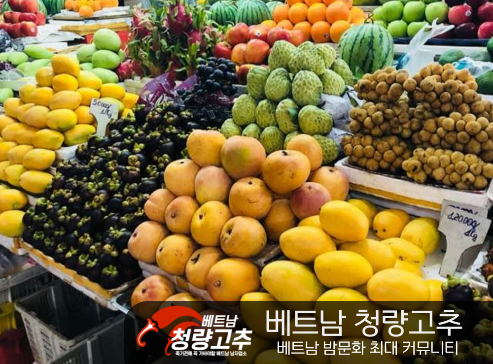 베트남 다낭 과일