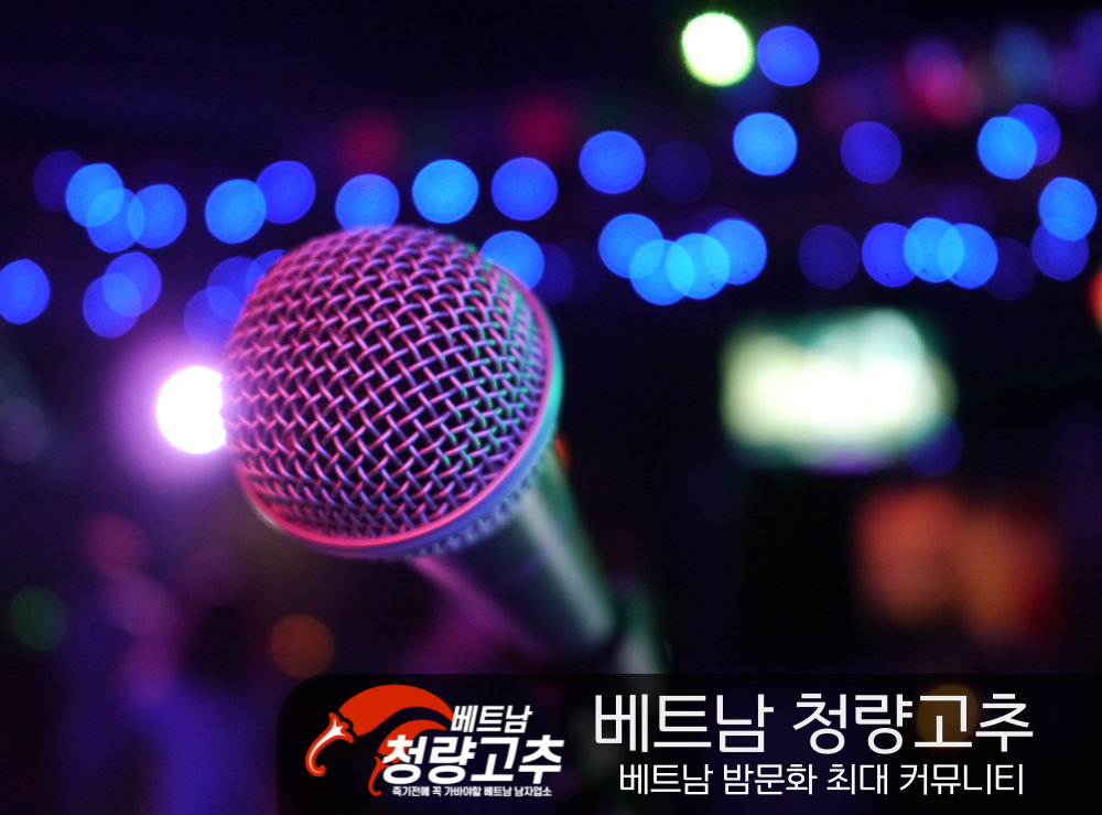 가라오케 마이크