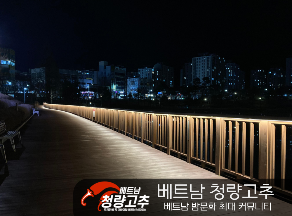 베트남 야경