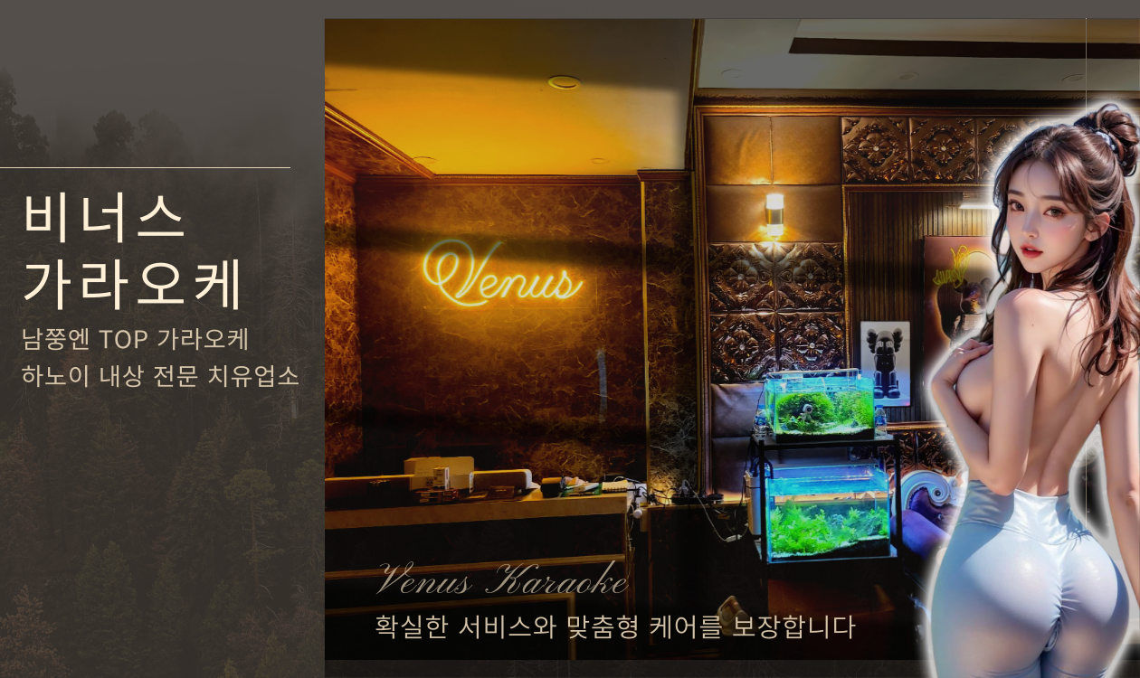하노이 비너스 VENUS 가라오케 노래방