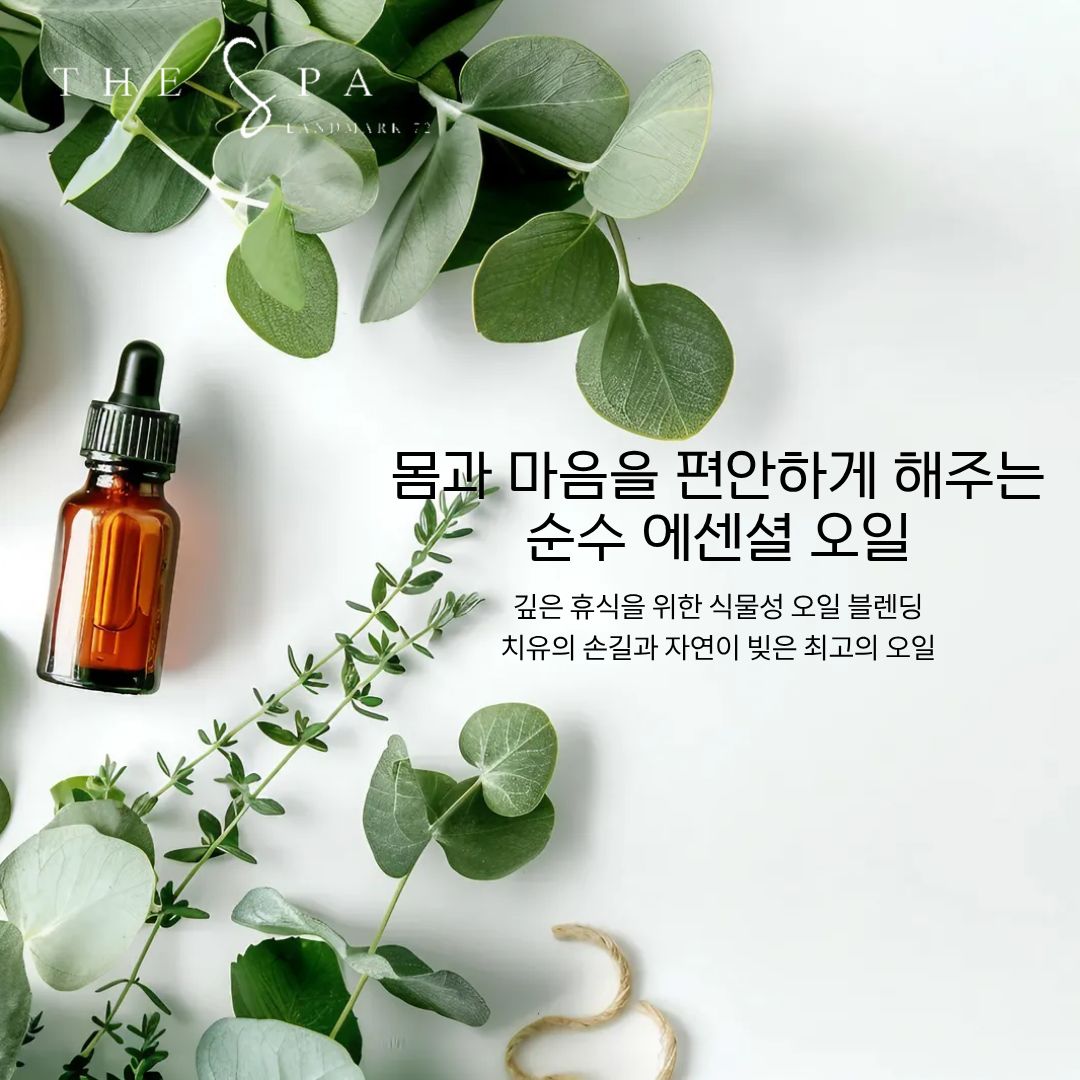 더 스파 The SPA