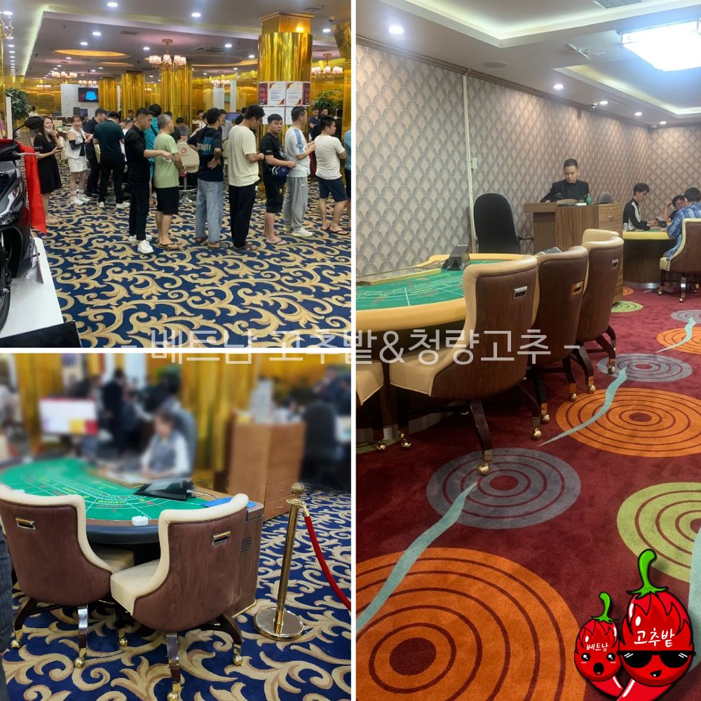 하노이 박닌 피닉스 카지노 시설 안내