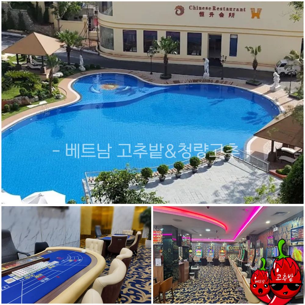 하노이 박닌 피닉스 카지노 후기 모음