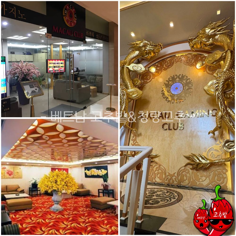 하노이 마카오(MACAU) 카지노 프로모션 정보