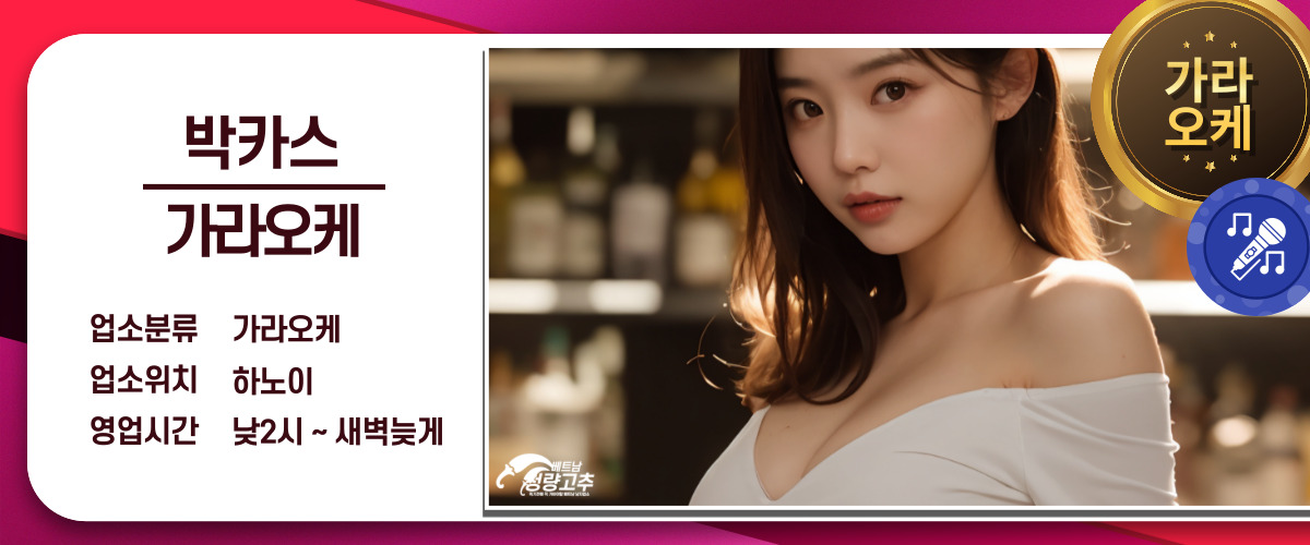 베트남 하노이 박카스 가라오케 KTV 노래방