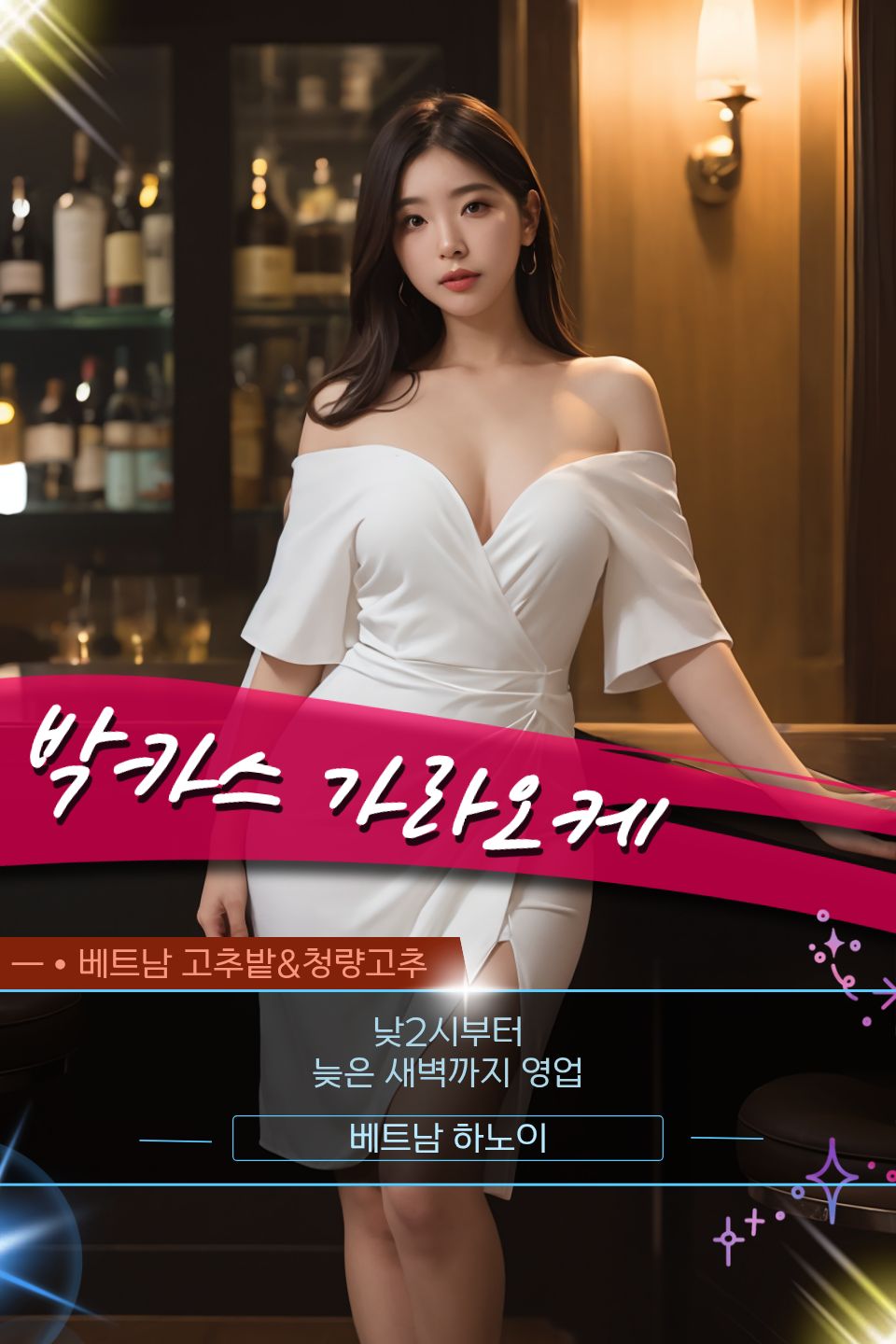 베트남 하노이 박카스 가라오케 KTV 노래방 하노이 박카스 가라오케