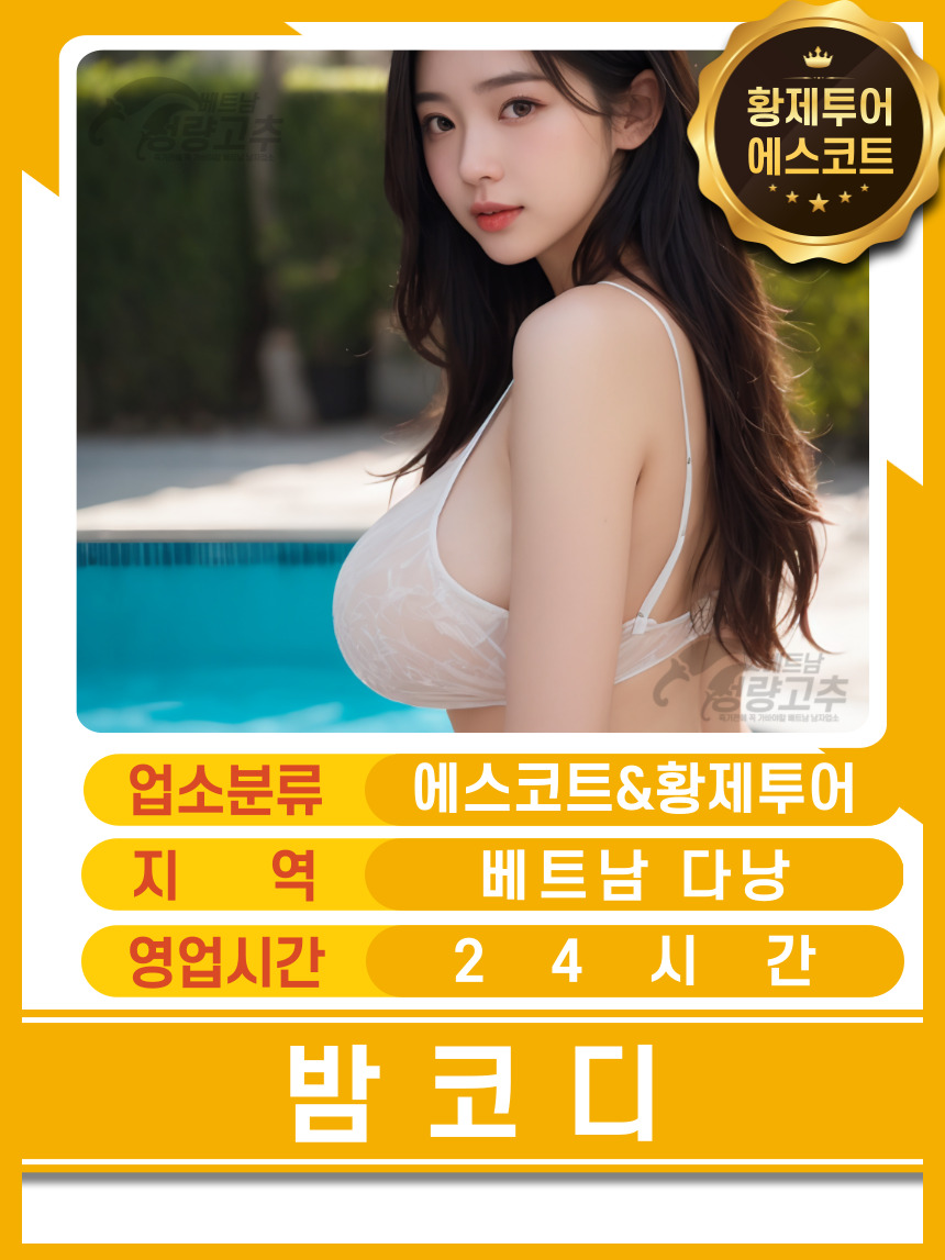 다낭 밤코디 황제투어 에스코트 구글위치